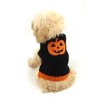 Load image into Gallery viewer, Small fluffy dog wearing a black and orange knitted pumpkin sweater for Halloween pet costume