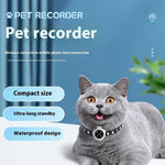 Load image into Gallery viewer, Gray cat wearing a waterproof pet recorder collar with compact design and ultra-long standby for GPS and motion recording