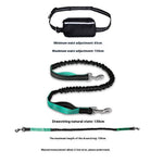 Load image into Gallery viewer, Hands-free reflective dog leash with adjustable waist belt and retractable strong bungee leash for safe walking at night