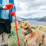 Load image into Gallery viewer, Person pouring water from a portable pet water bottle attached to a red dog leash outdoors by a lake and flowers