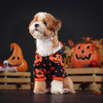Load image into Gallery viewer, Small dog wearing a cozy Halloween pumpkin sweater with festive jack-o-lantern patterns indoors