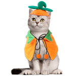 Load image into Gallery viewer, Cat wearing Halloween pumpkin double-sided reversible pet cloak and hat costume for festive parties and photos