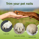 Load image into Gallery viewer, Pet paw grooming stages using POT N PET™ 2-in-1 Pet Nail Clippers with LED Light, showing long nails, trimmed nails, and clean results.