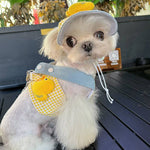 Load image into Gallery viewer, Small dog wearing a yellow and blue spring summer 3-piece harness, leash, and hat outfit set on a black table outdoors.