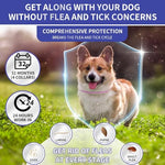 Load image into Gallery viewer, 2 Pack Flea & Tick Treatment & Prevention Collar for Dogs & Cats | 8 Months Protection | Vet-Recommended | Adjustable One Size, Kills Fleas, Ticks & Repels Mosquitoes