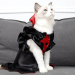 Load image into Gallery viewer, White cat wearing black and red Halloween vampire costume with cape and ruffled collar sitting on grey couch