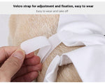 Load image into Gallery viewer, Close-up of adjustable Velcro strap on Halloween ghost pet costume for easy wearing and removal