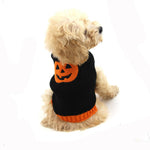 Load image into Gallery viewer, Small dog wearing a black knitted Halloween sweater with an orange pumpkin design on the back sitting on white background