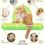 Load image into Gallery viewer, Orange tabby cat with multiple hanging door holder toy placement ideas for indoor cat entertainment and playtime.