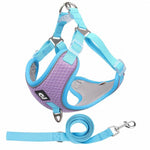 Load image into Gallery viewer, Adjustable reflective mesh pet harness in purple and blue with matching leash for comfort and safety during walks