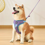 Load image into Gallery viewer, Shiba Inu dog wearing a purple adjustable mesh pet harness with reflective straps sitting indoors on wooden floor