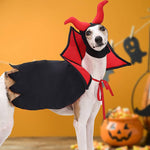 Load image into Gallery viewer, Dog wearing a Halloween pet vampire costume with red horns and black and red cloak against orange background