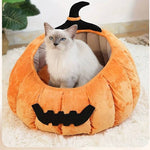 Load image into Gallery viewer, White cat sitting inside a soft plush pumpkin-shaped pet bed with a black witch hat decoration on top