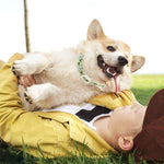 Load image into Gallery viewer, Happy dog wearing flea and tick repellent collar being held by person lying on grass outdoors