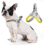 Load image into Gallery viewer, White and black dog wearing adjustable no-pull reflective pet harness with yellow trim sitting beside leash set