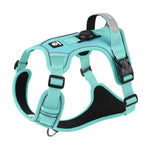 Load image into Gallery viewer, Turquoise no-pull dog harness with adjustable straps, reflective trim, and GPS tag slot for secure outdoor adventures.