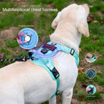 Load image into Gallery viewer, Labrador wearing turquoise no-pull harness with GPS tracker holder, reflective straps, and multifunctional handle for control.