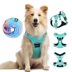 Load image into Gallery viewer, Happy dog wearing turquoise no-pull harness with leash, GPS tag slot, and breathable padding for comfort and safety.