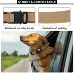 Load image into Gallery viewer, Dog wearing Airtag dog collar with reinforced zinc alloy buckle and soft padded lining by car window outdoors