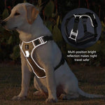 Load image into Gallery viewer, Reflective dog harness glowing at night on a Labrador, enhancing safety with multi-position reflection for nighttime walks.