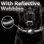 Load image into Gallery viewer, Black dog wearing a reflective Airtag dog collar with smart tracker case and glowing reflective webbing at night