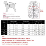 Load image into Gallery viewer, Diagram showing how to measure dog jacket size with neck, chest, and back length for waterproof pumpkin print pet coat
