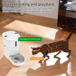 Load image into Gallery viewer, Smart Wi-Fi pet feeder with voice recording feature calling a cat to eat, enhancing pet bonding and feeding habits.