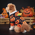 Load image into Gallery viewer, Small dog wearing a cozy Halloween pumpkin sweater with a hood, sitting in a festive autumn setting.