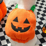 Load image into Gallery viewer, Cute Halloween pet pumpkin hat costume for cats and small dogs with smiling jack-o-lantern design