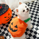 Load image into Gallery viewer, Small white dog wearing a Halloween pumpkin costume with a jack-o-lantern face sitting on checkered floor