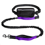 Load image into Gallery viewer, Hands-free retractable dog leash with reflective strips and padded waist belt for secure and strong control during walks