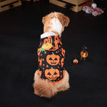 Load image into Gallery viewer, Small dog wearing a black Halloween sweater with orange pumpkin designs sitting on a dark floor next to Halloween decorations