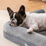 Load image into Gallery viewer, French bulldog resting on a grey orthopedic egg foam dog bed with a waterproof washable cover indoors