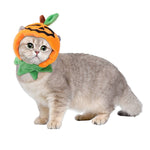Load image into Gallery viewer, Cat wearing a Halloween pumpkin hat with green stem details, part of a reversible pet costume for parties and photos.