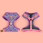 Load image into Gallery viewer, Purple breathable dog harness with colorful hearts and adjustable pink straps for small to large dogs.