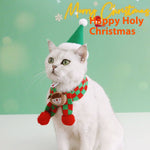 Load image into Gallery viewer, White cat wearing a green Santa hat and red and green plaid knitted scarf with holiday pom-poms on a green background.