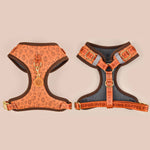 Load image into Gallery viewer, Adjustable breathable dog harness in orange with coffee bean pattern, lightweight polyester no-pull chest strap for all sizes