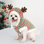 Load image into Gallery viewer, Small white dog wearing festive red green striped Christmas hoodie with reindeer antlers sitting indoors near decorated tree