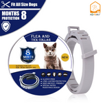 Load image into Gallery viewer, Flea and tick collar for cats by POTN PET with eight-month protection, next to the collar packaging.