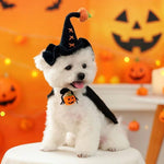 Load image into Gallery viewer, Small white dog wearing a black Halloween wizard hat with pumpkin decoration in festive orange background