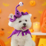 Load image into Gallery viewer, Small white dog wearing a purple Halloween wizard hat and cape with ghost bow tie in festive pumpkin background