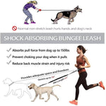 Load image into Gallery viewer, Shock-absorbing bungee leash infographic showing benefits like reduced strain and anti-pull control for dogs up to 150 lbs.