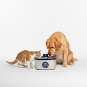 5L Stainless Steel Smart Pet Water Fountain for Cats & Dogs