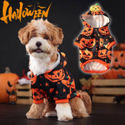 Small fluffy dog wearing a black and orange Halloween pumpkin hoodie sweater for pets on a dark background