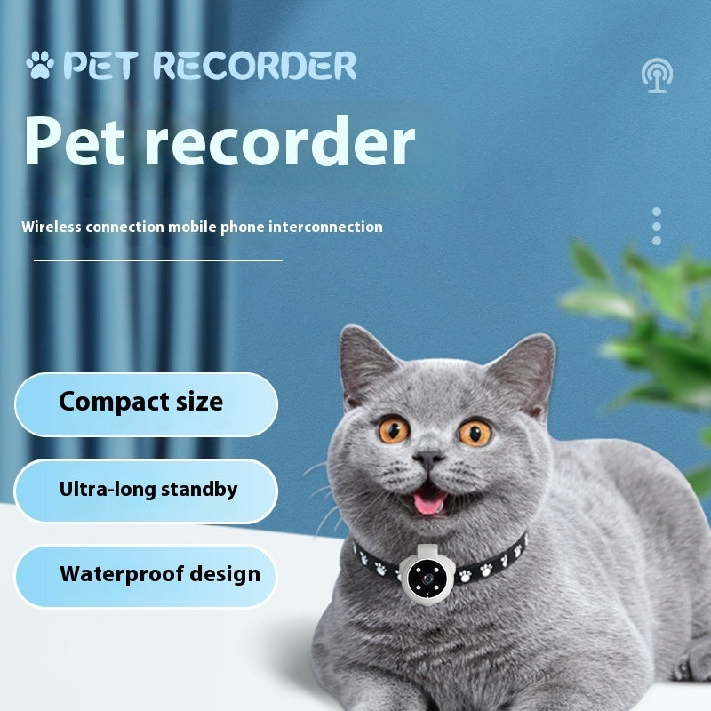 Gray cat wearing a waterproof pet recorder collar with compact design and ultra-long standby for GPS and motion recording
