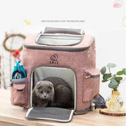 Pink transparent cat backpack carrier with ventilation and bubble window featuring a gray cat inside on wooden surface