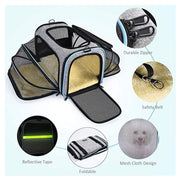 Expandable foldable soft-sided pet carrier with mesh windows, reflective strips, safety belt, and durable zippers for travel use.