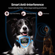 Black and white dog wearing a smart anti-bark collar with color screen filtering other dogs' barking and noise.