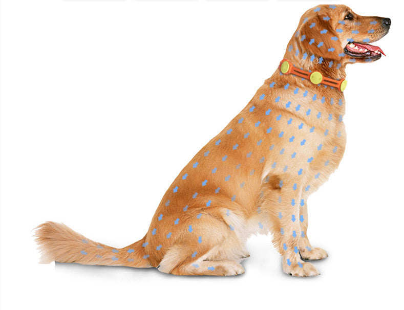 Golden retriever wearing orange Pet Anti-Flea & Tick Collar with visible pest-repelling effect. Safe, waterproof collar for dogs with natural ingredients.