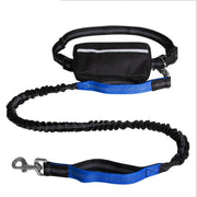 Hands-free reflective dog leash with retractable bungee cord and storage pouch for strong, safe dog walking at night